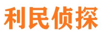 灵山调查公司